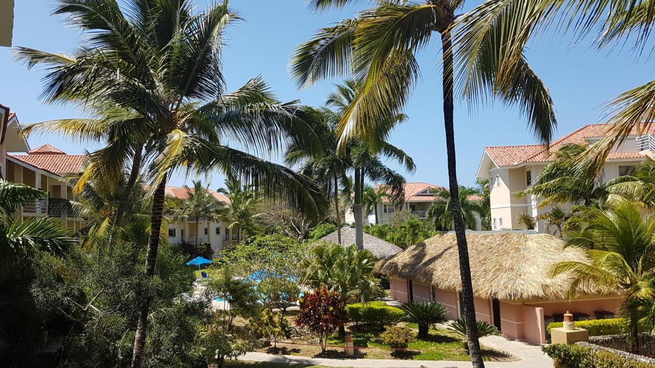 Cozy Garden Oasis Steps To The Beach Cabarete Dış mekan fotoğraf